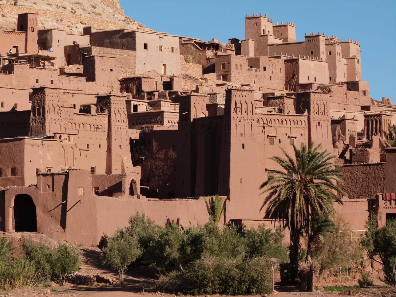 Kasbah Elmehdaoui Bed & Breakfast Skoura Dış mekan fotoğraf